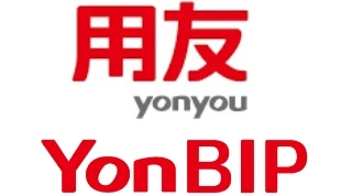 Yonyou BIP